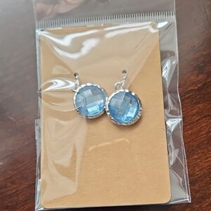 Elegant Blue Silver Earrings